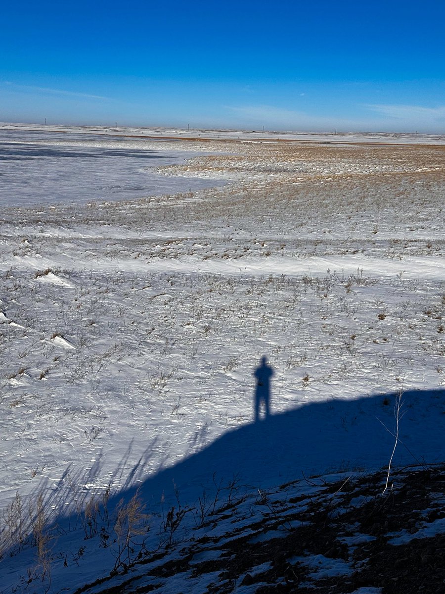 prairieguy2016's tweet image. Saturday Selfie! A cold wind. Bright white snow. A low Winter’s sun struggles to offer any warmth. A brilliantly blue Winter’s sky. Wandering the Winter Dakota Prairie. #wandering #photography #nature #northdakota #prairie #winter