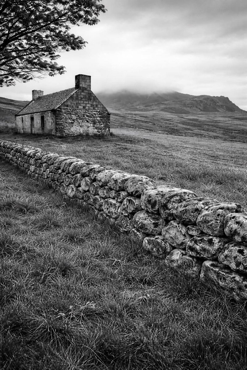 ThisIsIreland3's tweet image. A nostalgic look back at the old homestead in Ireland 🍀

There’s something about these quiet stone houses &amp;amp; open fields that stirs the soul. They remind us of a time when life moved slower, when neighbours were close &amp;amp; doors were left unlocked 💚

#Ireland #Homestead #Nostalgia