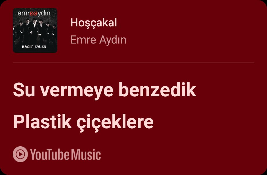 Seliin (@kuhamuzik) on Twitter photo 