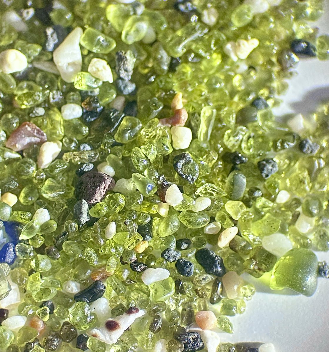 ハワイの宝石ペリドット　ハワイ島の神秘の宝石の木　ペリドットの木　モンキーポッド ハワイの宝石ペリドット ハワイ島の神秘の宝石の木 ペリドットの木