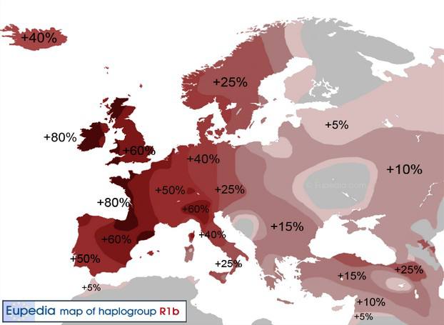 ¿Es pancho? tweet media