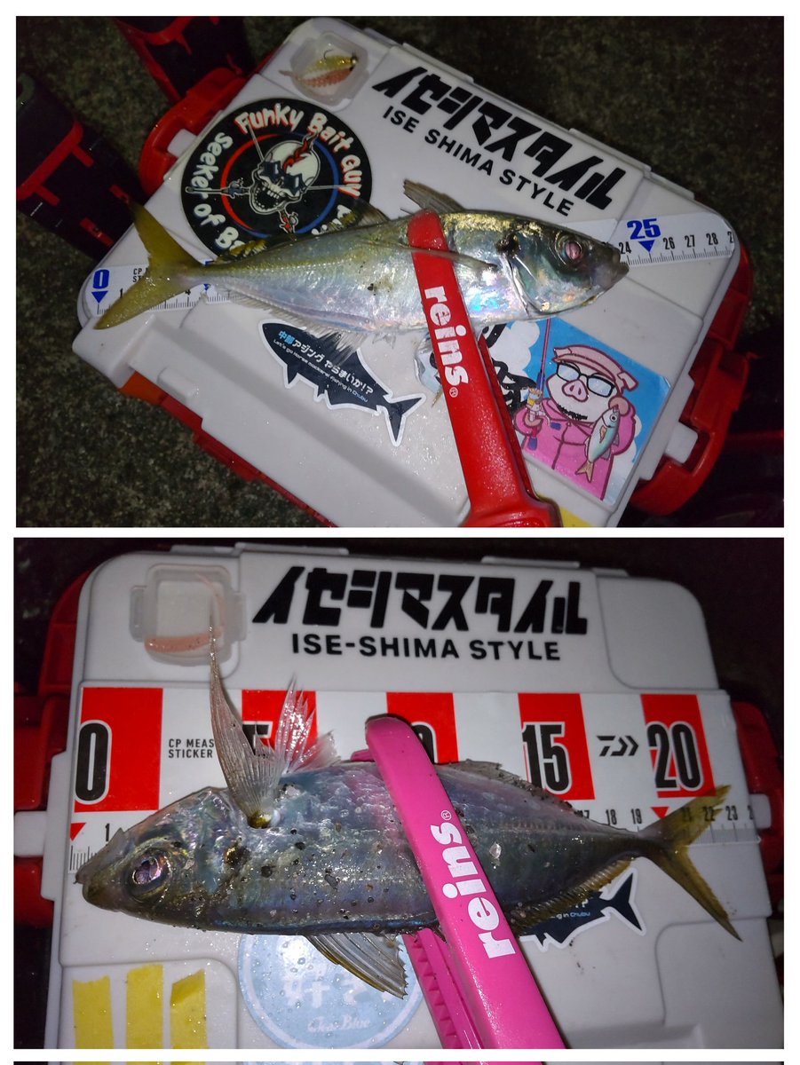 hanimal46's tweet image. 何だかんだと釣れたので

撤収ー！

#南方作戦
#お二人様