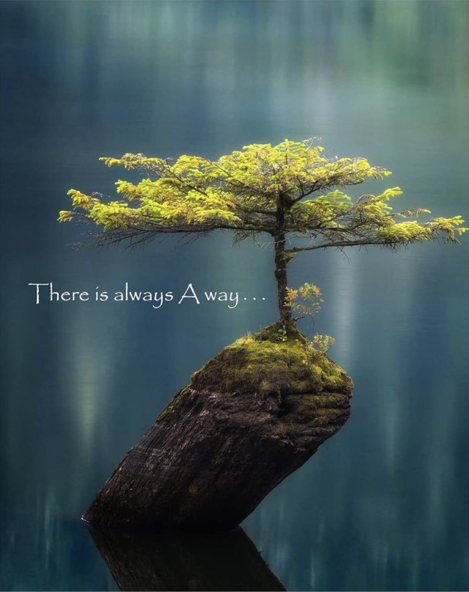 اقتباسات ريم tweet media