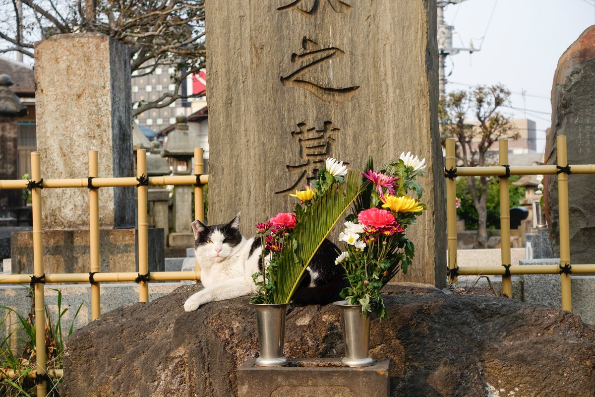 細川文昌 (@hosokawa_f) / Posts / X