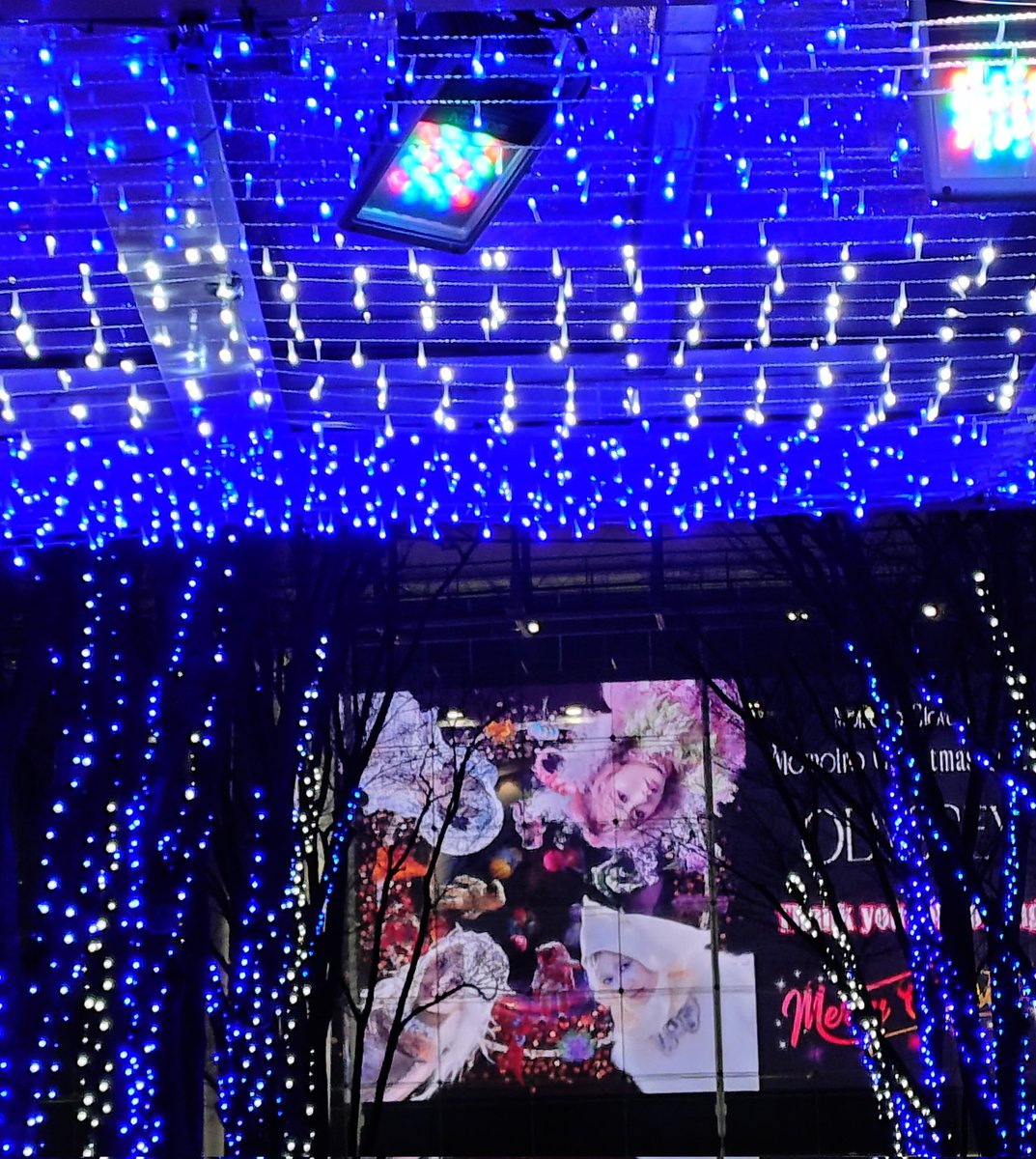 まーくん (@marrkunn) / Posts / X