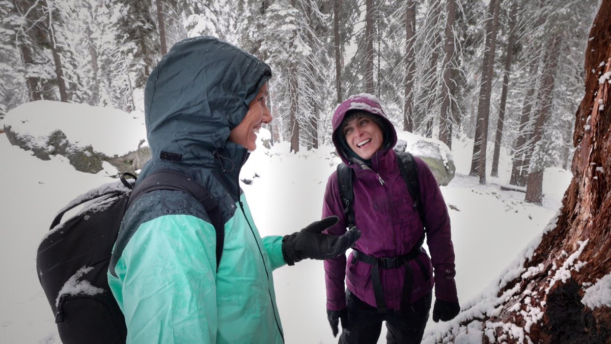 Bonne_de_Bod's tweet image. Dispatch From The Field:
It seems to me that I get awestruck by nature on a daily basis, but I am absolutely awestruck right now. And I don’t think anyone would disagree… look at the size of this living, breathing being!
It’s impossible to show the scale…