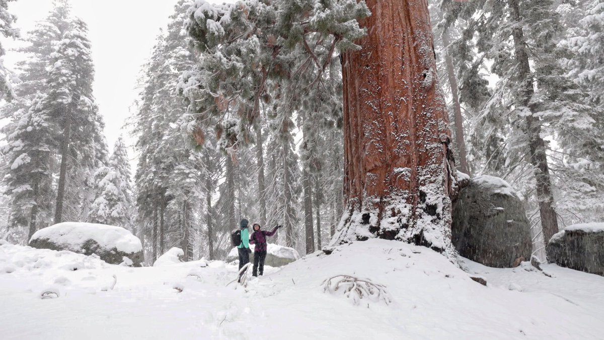 Bonne_de_Bod's tweet image. Dispatch From The Field:
It seems to me that I get awestruck by nature on a daily basis, but I am absolutely awestruck right now. And I don’t think anyone would disagree… look at the size of this living, breathing being!
It’s impossible to show the scale…