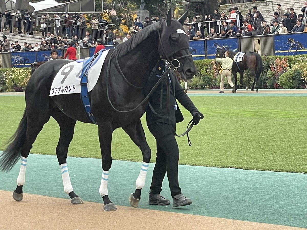 とうふ (@toufu_soreyon) / Posts / X