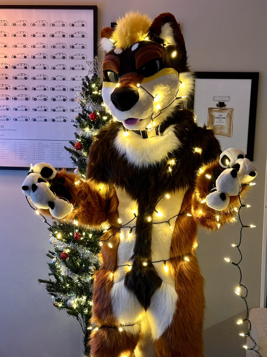 Bowie 🔜 FurDU tweet media