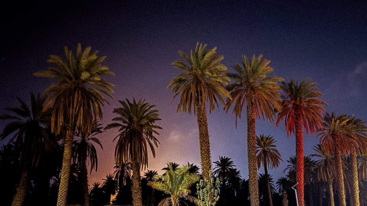 Esprrrresso's tweet image. عشوائيات Last week 
بالشكل هذا