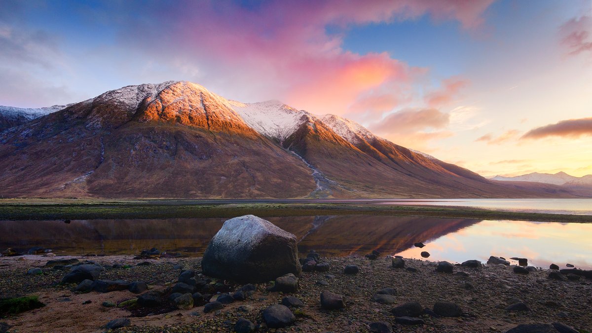 Damian Shields tweet media