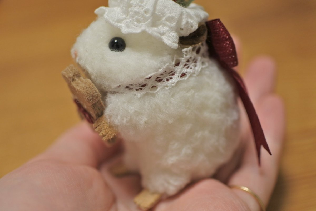 ましゅまる (@shiromaro_963) / Posts / X