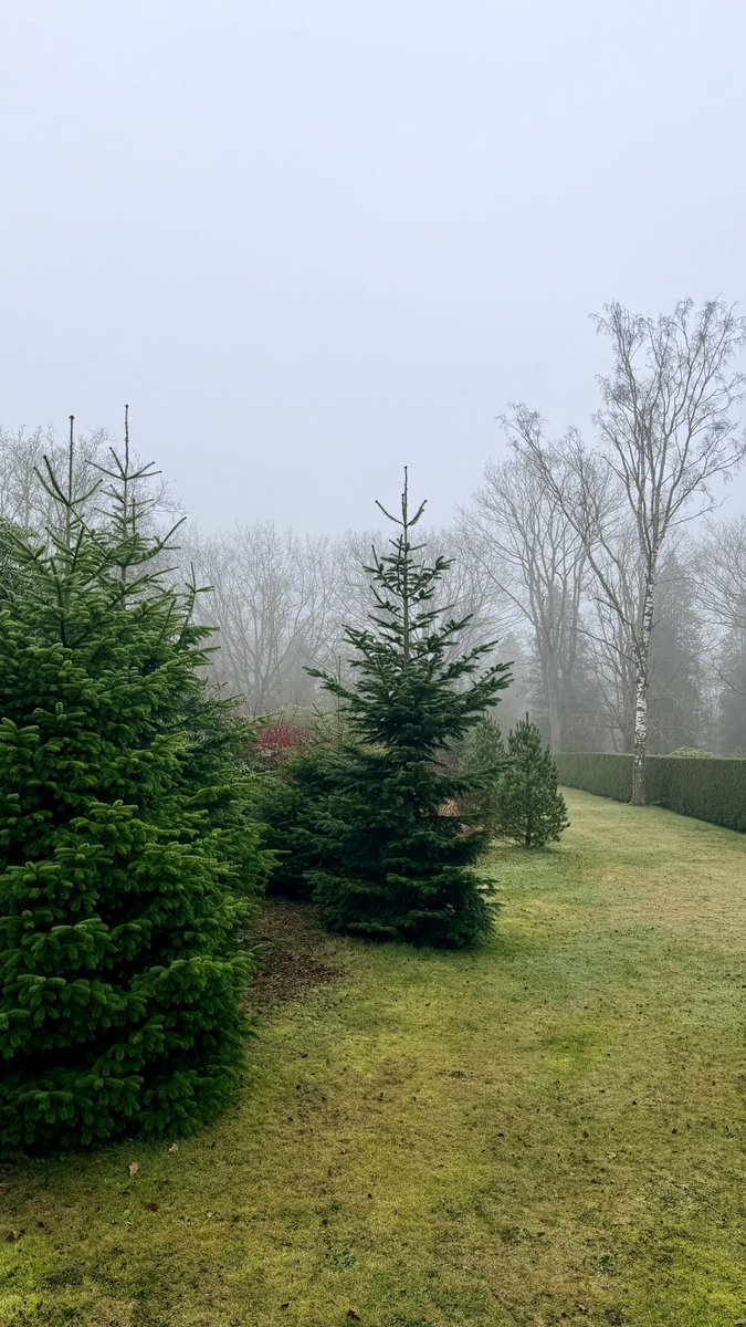 TheblossomRDAM's tweet image. #Apeldoorn