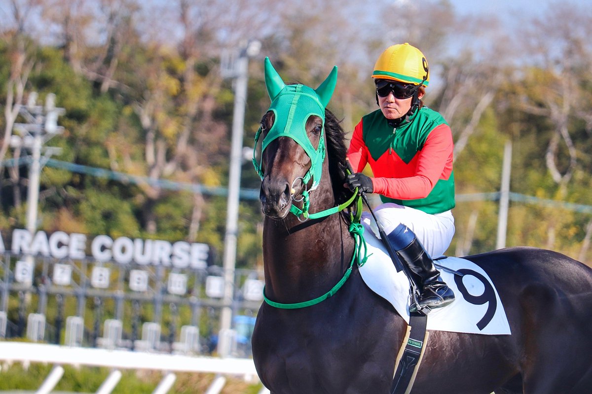 まねき馬レインボー 1799エピファネイア リビングストン┆エピファネイア産駒