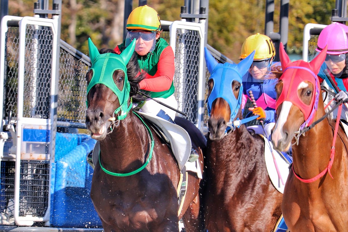 リビングストン┆エピファネイア産駒
