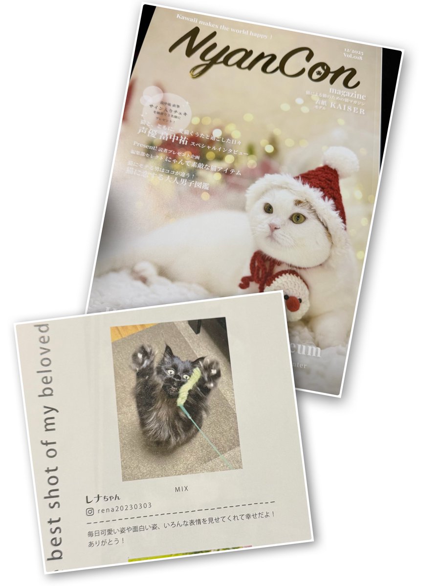 NyanCon（ニャンコン） | 「猫と共に」公式アカウント🐾 (@NyanCon01