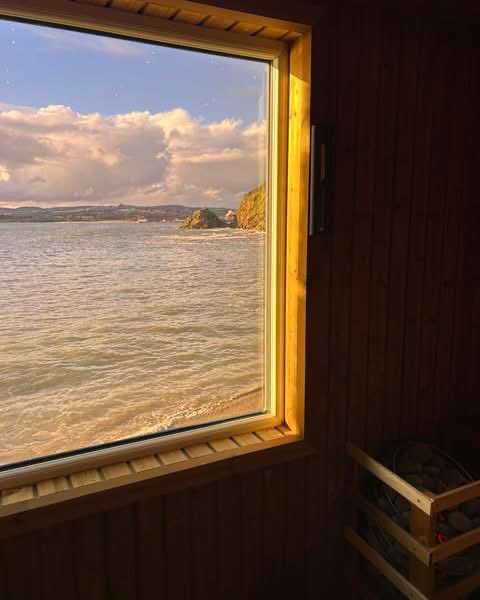 Pat 🐝 tweet media