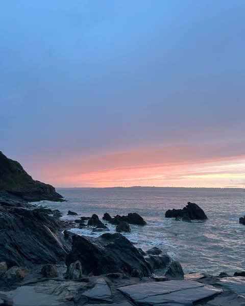 Pat 🐝 tweet media