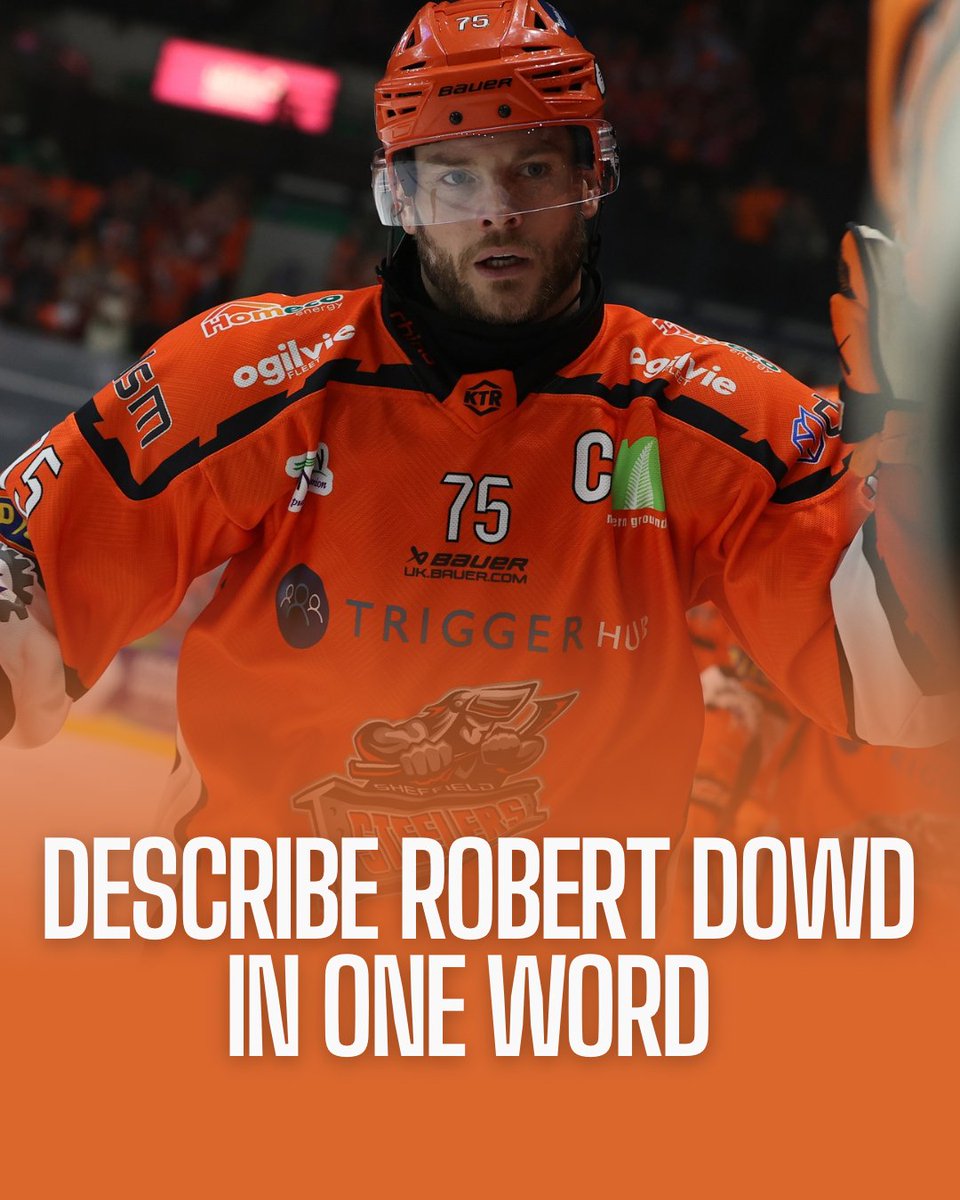 TriggerHub Sheffield Steelers tweet media