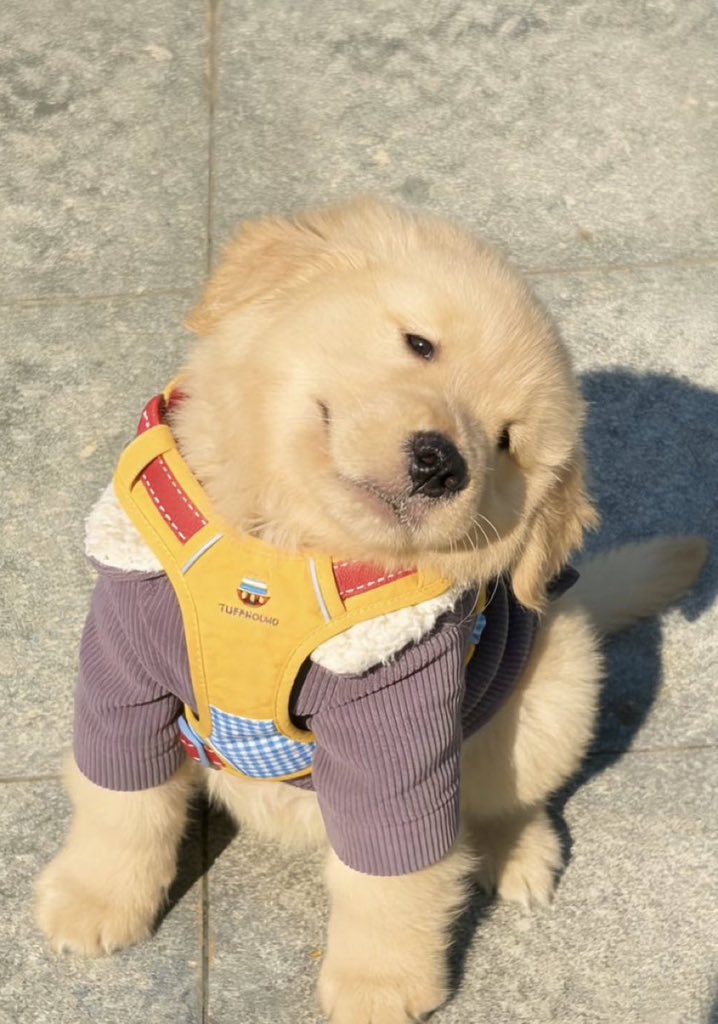 godxfjm's tweet image. งอนนะ                                                มากอดเร้ว