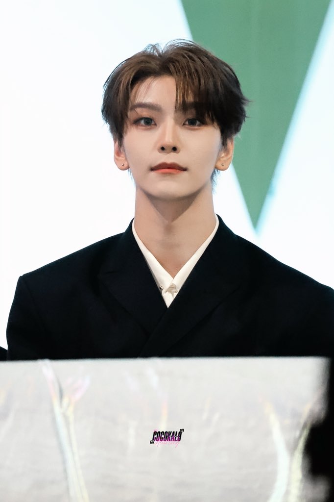 辞書の美人の枠にこのシンロンさんを挿絵として載せたい