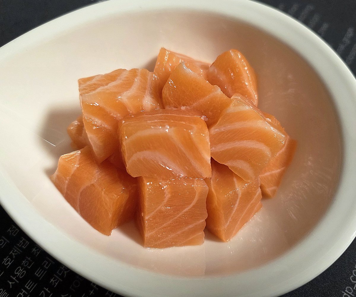 연어먹는곰 tweet media