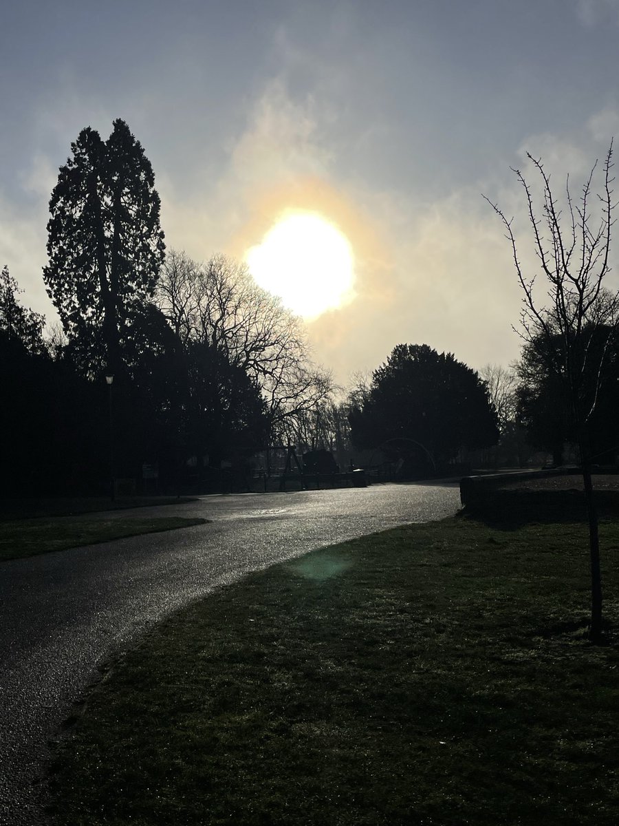 denise dean tweet media