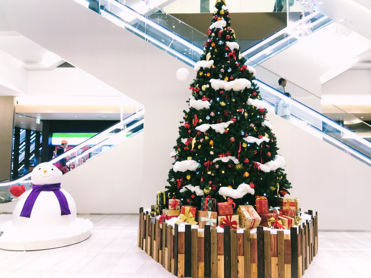 こういうのを見ると、私の心はゆうめいの『養生』を思い出す仕様になりました。