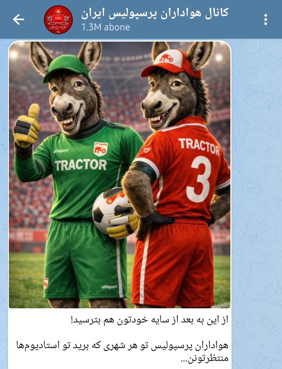 توحید جوادی tweet media