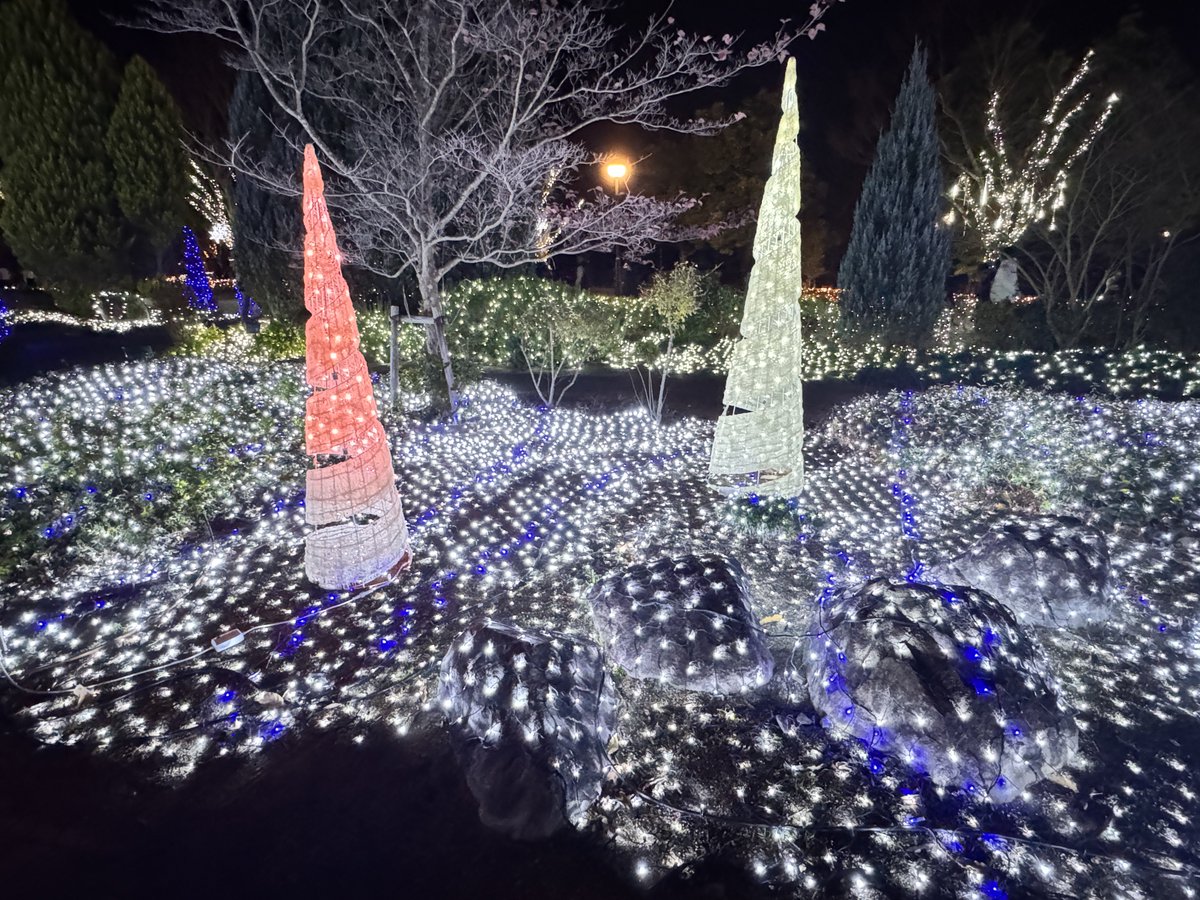 今年も「7年連続‼︎【あすたむらんど徳島】にて夜間のイベントで開催中