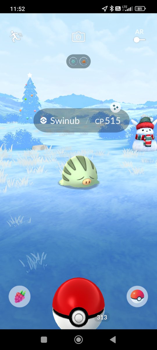 SzeldonMuzg's tweet photo. Dwa shiny jednego dnia?!🤯 
#PokemonGO #ShinyPokemon #Swinub #Smoliv https://t.co/3MrP5L4luS
