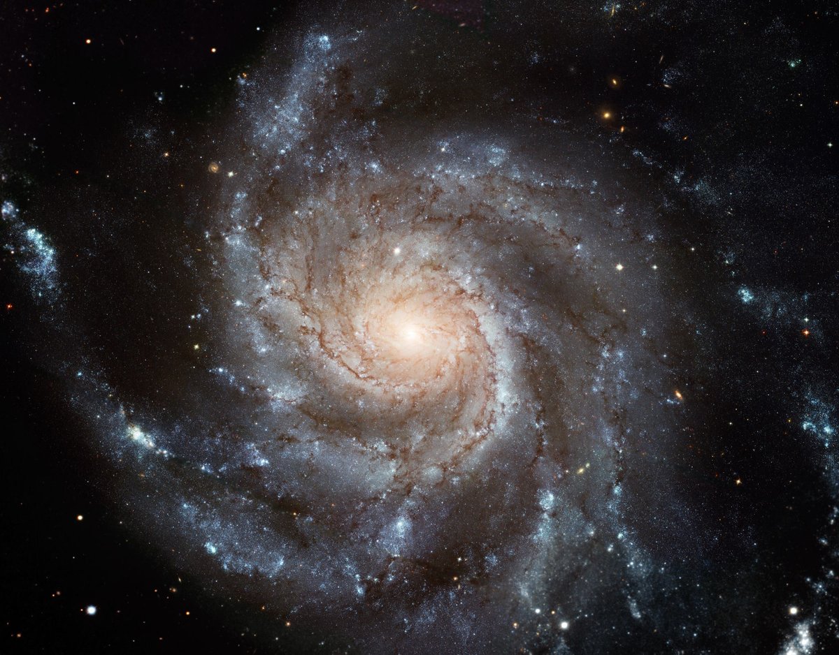 alex_riveiro's tweet photo. Esta bonita galaxia espiral es Messier 101. Es mucho más grande que la Vía Láctea (mide 170 000 años luz por los 100 000 de la nuestra). Aquí, gracias al telescopio Hubble, vemos unos 40 000 años luz de la región central. Está a 25 millones de años luz, en la dirección de la constelación de la Osa Mayor. Crédito: NASA/ESA/K. Kuntz et al. #FelizSabado