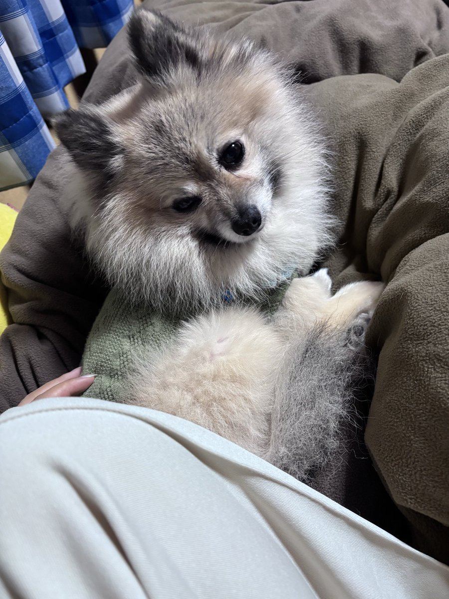 ୨୧┈ 𝚖𝚊𝚚𝚞𝚒𝚊 ┈୨୧ (@maq_ff14) / Posts / X