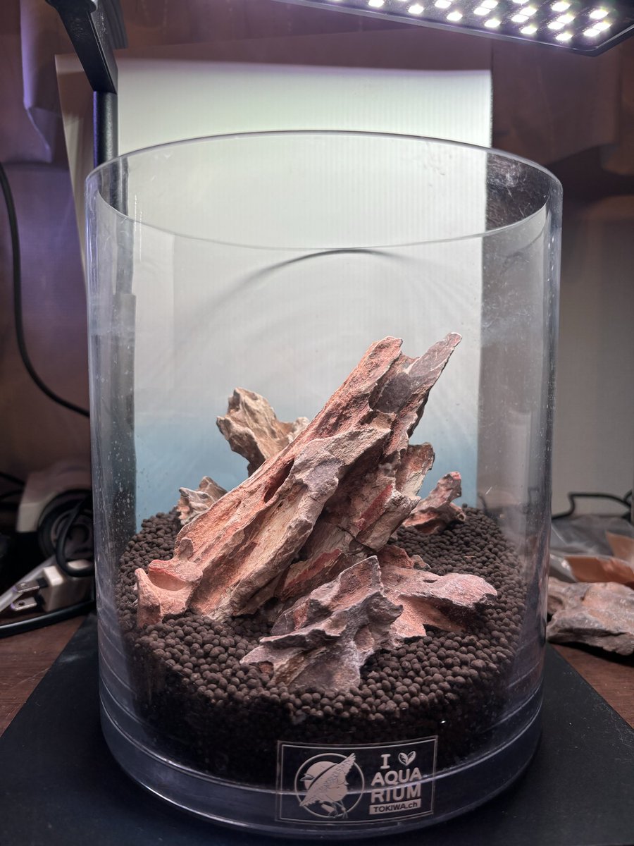 トキワ🌿 (@tokiwa_aquarium) / Posts / X
