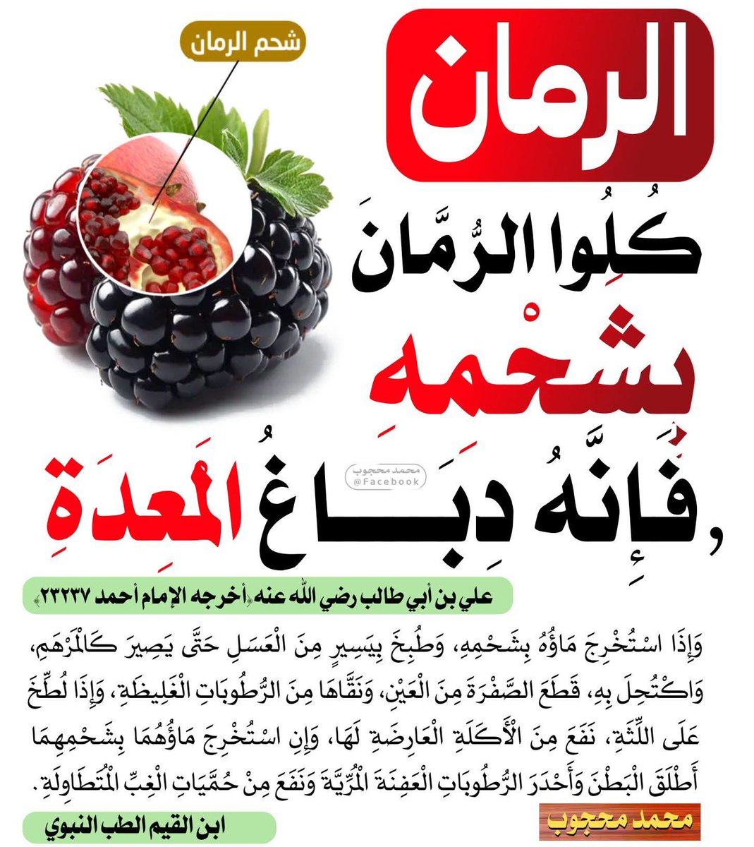 الكتابُ والسُّنة (@kitabwasunna93) on Twitter photo 