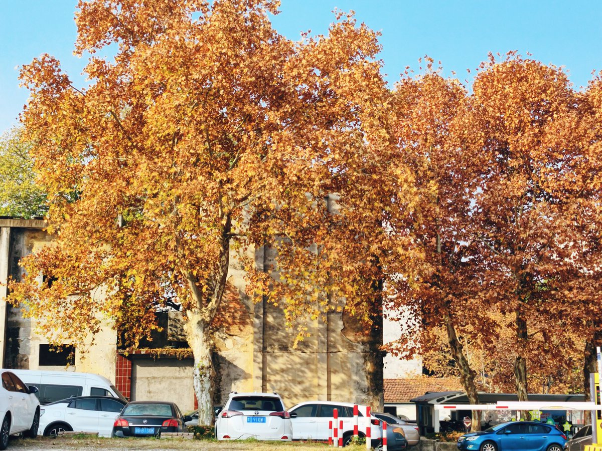 Lanxi (@zhejiangchinalx) on Twitter photo 