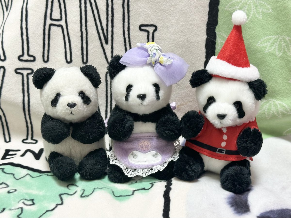 我が家のおでシャン🐼🐼🐼 左から初代、二代目、新メンバー 初代は5年