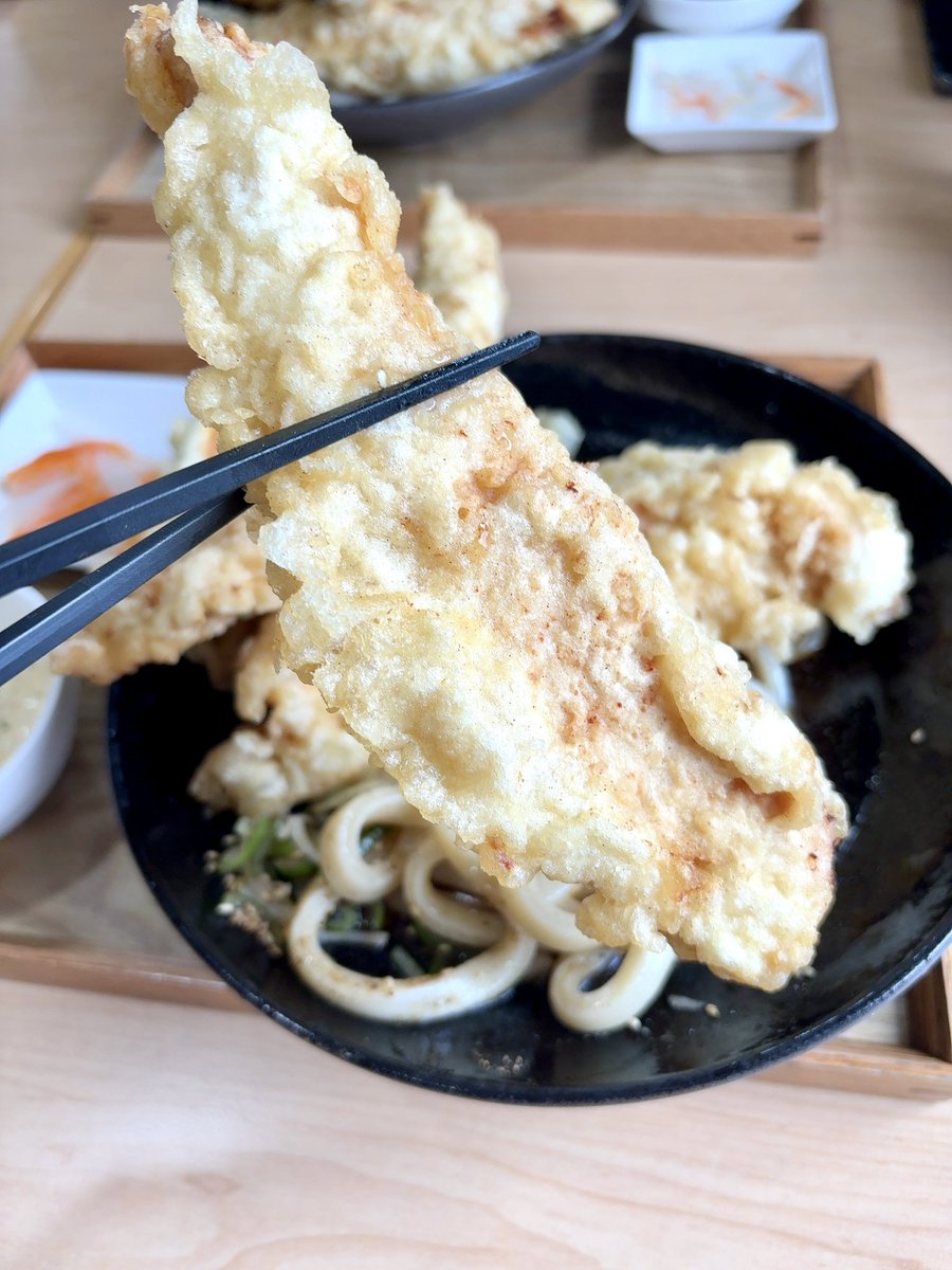 yummyページ ダイニングチェア Yummy(ヤミー) 2脚セット 4脚セット ヤマソロ