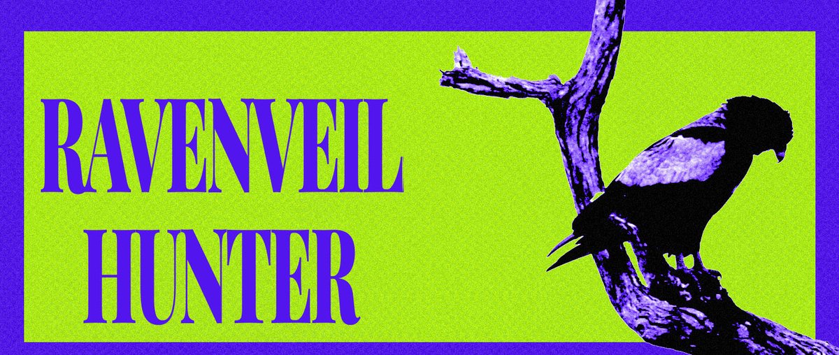 Ravenveil Hunter tweet media