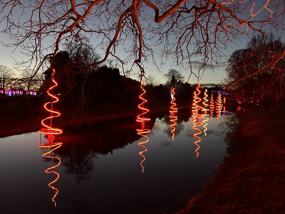 Dame Suzy Lishman tweet media