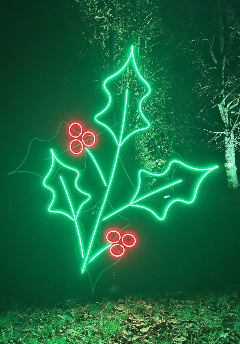 Dame Suzy Lishman tweet media