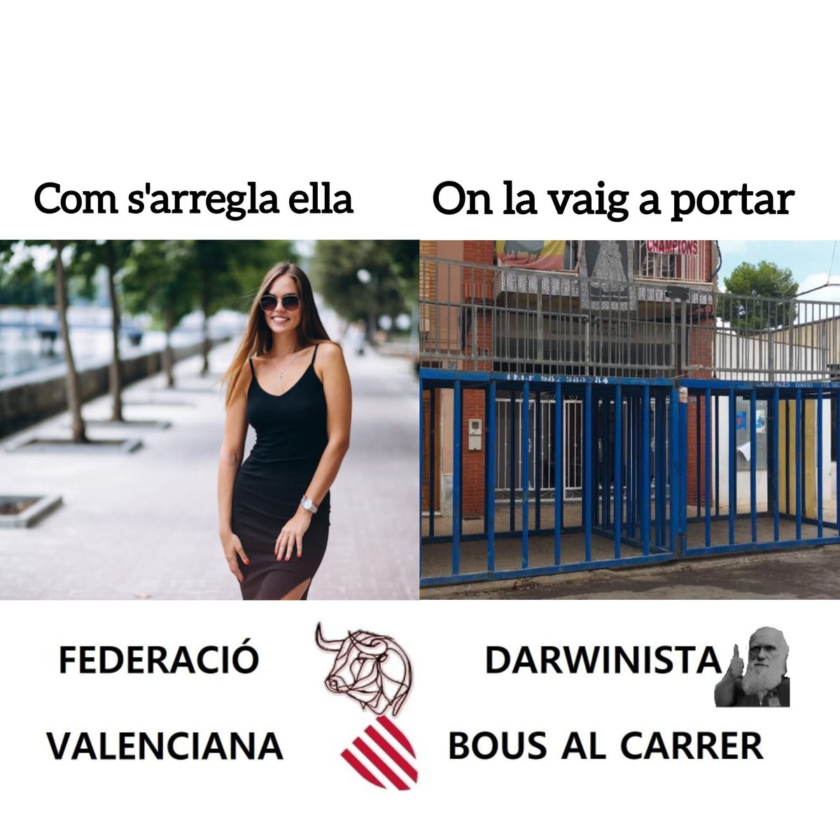 Federació Darwinista Valenciana de Bous al Carrer tweet media