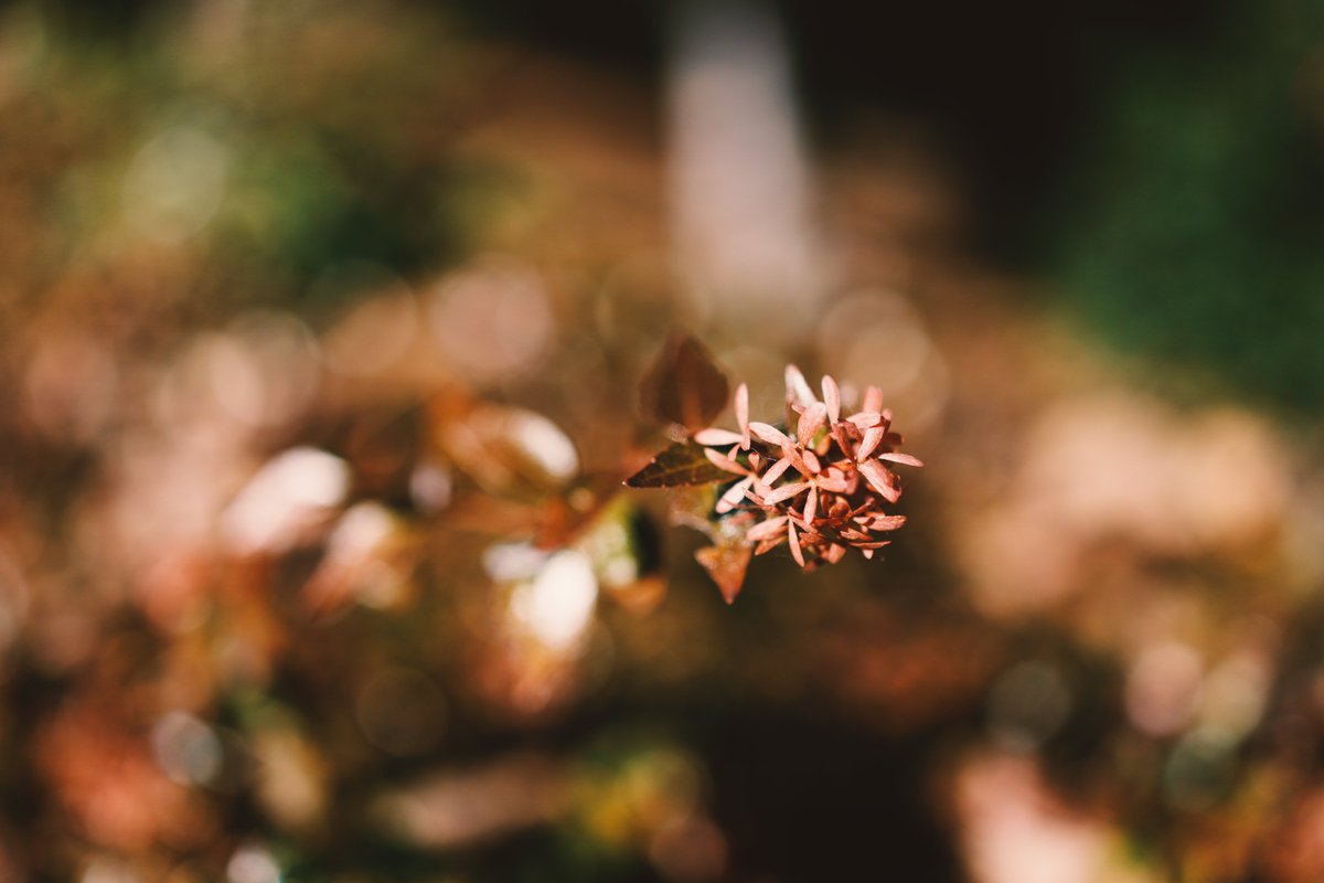 Kunrong Yap tweet media