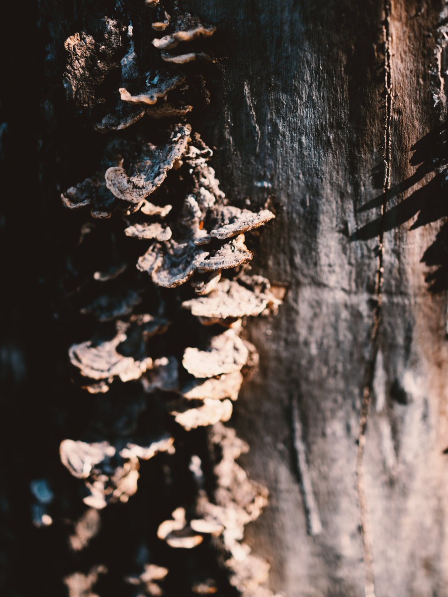 Kunrong Yap tweet media