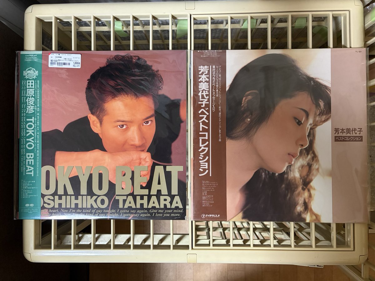 本日の収穫〜‼️ オンラインで町田のユニオンさんにお取り寄せした芳本