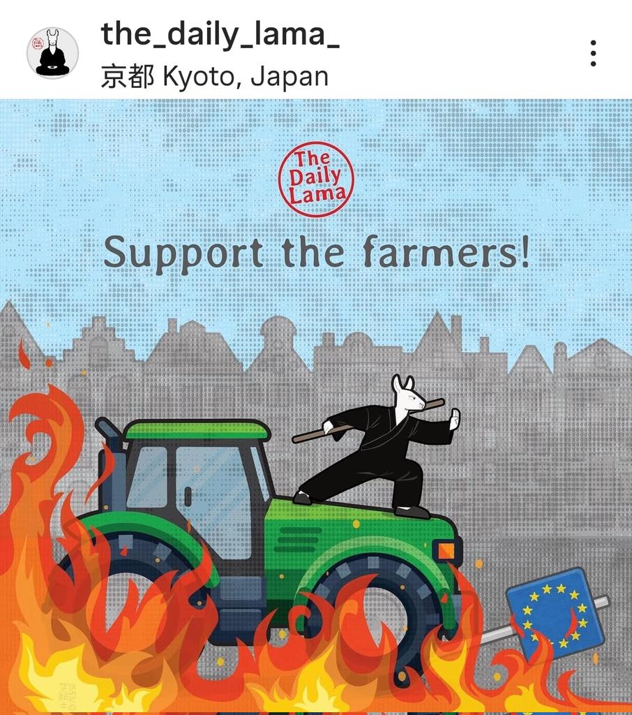 Amandine Ollivier (@chocolatinesudo) on Twitter photo 