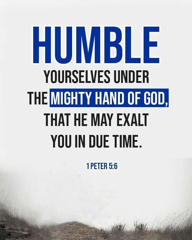 Mike Walker tweet media