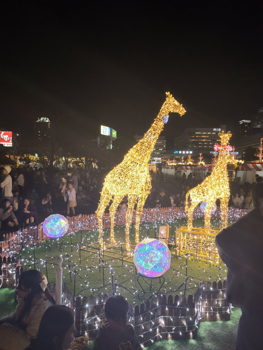 centroscriptum's tweet image. ⛄