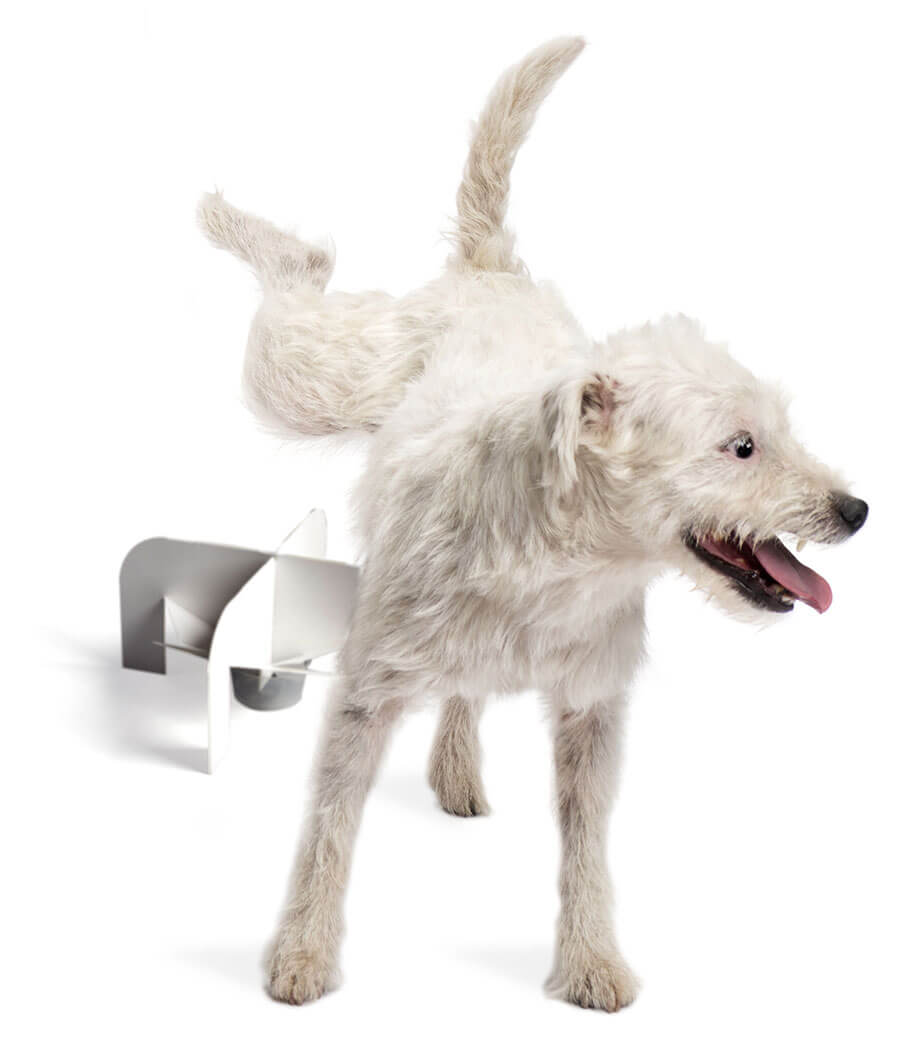 VBSDirect's tweet image. Merry Christmas and Happy New Year - mailchi.mp/vbsdirect/abou…