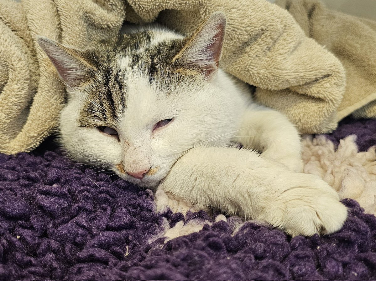 The Vet Centre tweet media